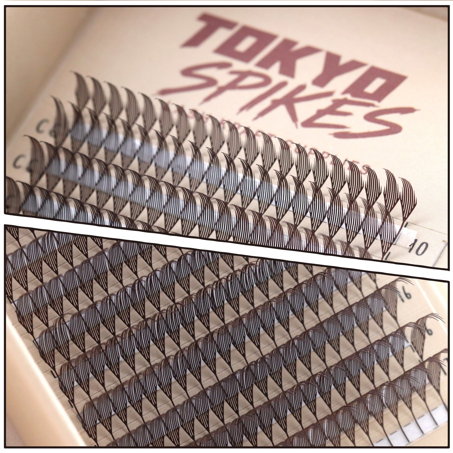 TOKYO SPIKES Collection