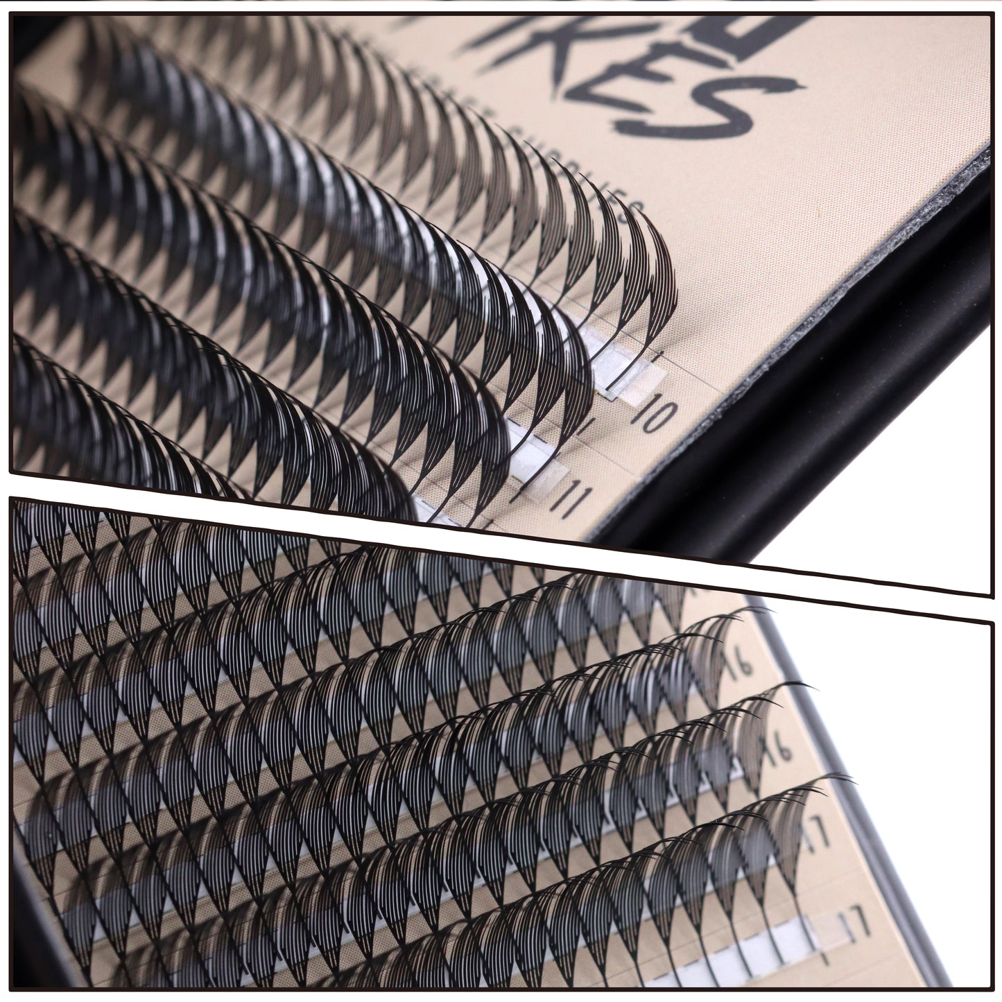 TOKYO SPIKES Collection